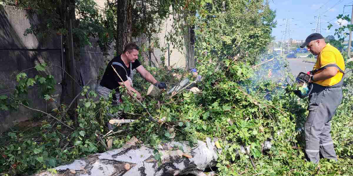 Общегородской субботник